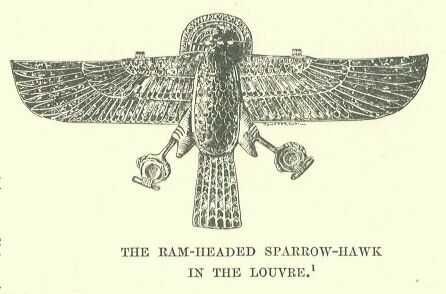 347.jpg the Ram-headed Sparrow-hawk in The Louvre 