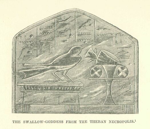 048.jpg the Swallow-goddess from The Theban Necropolis 