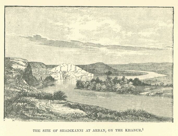 022.jpg the Site of Shadikanni at Arban, on The Khabur 