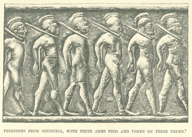 094.jpg Prisoners from Shugunia, With Their Arms Tied And Yokes on Their Necks 