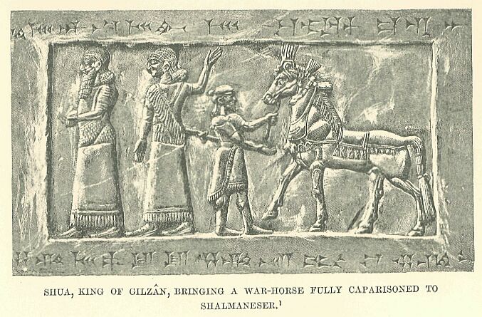 100.jpg Shua, King of Gilzan, Bringing a War-horse Fully Caparisoned to Shalmaneser 
