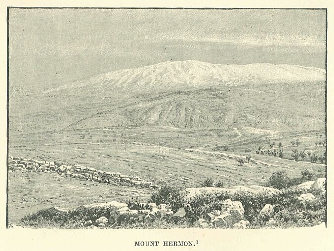 288.jpg Mount Hermon 