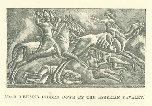 290.jpg Arab Meharis Ridden Down by the Assyrian Cavalry 