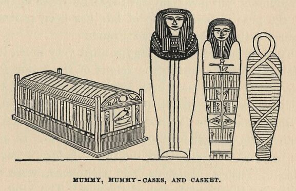 293.jpg Mummy, Mummy-cases, and Casket 