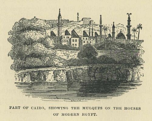 190.jpg Part of Cairo, Showing the Mulqufs on The Houses Of Modern Egypt 