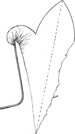 DIAGRAM SHOWING THE MANNER OF CRIMPING EACH SCALLOP OF THE PAPER MAT OVER A HAIR-PIN.