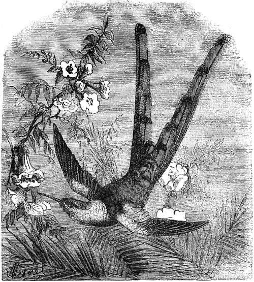 The Project Gutenberg Ebook Of Lezioni E Racconti Per I