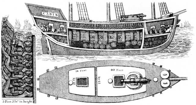 SECTIONS OF A SLAVE SHIP.
