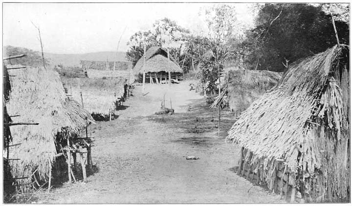 Village of Seluku, with Chief’s Emone at End and Remains of Broken-down Burial Platform in Middle.