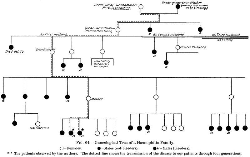 Fig. 64.—Genealogical Tree if a Hæmophilic Family.