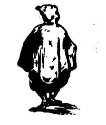 Distinctive costume Distinctive costume