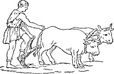 a farmer plowing with oxen