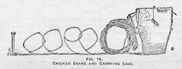 FIG. 16. CHICKEN SNARE AND CARRYING
CASE.