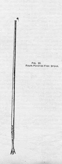 FIG. 20. (LEFT) FOUR-POINTED FISH
SPEAR.