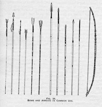 FIG. 39. BOWS AND ARROWS IN COMMON
USE.