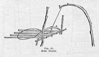 FIG. 51. BIRD SNARE.
