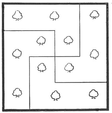 THE ZOLTAN'S ORCHARD SOLUTION. THE ZOLTAN'S ORCHARD SOLUTION.