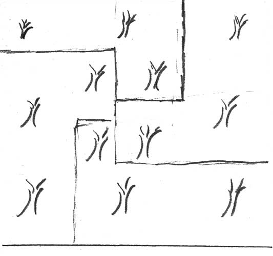 THE ZOLTAN'S ORCHARD. THE ZOLTAN'S ORCHARD.