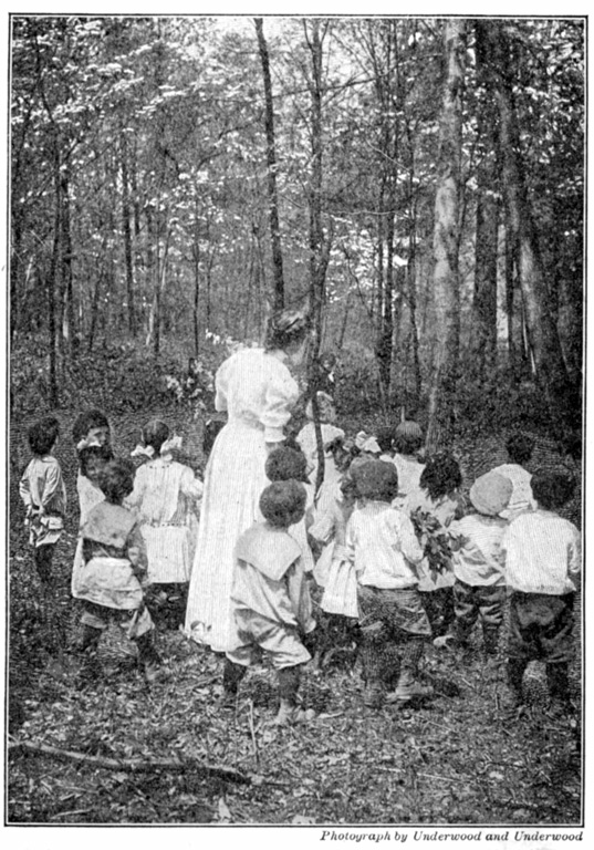 A group of children with their teacher stand in the forest and stare at a tree.