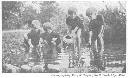 A photograph of boys playing in a pond.