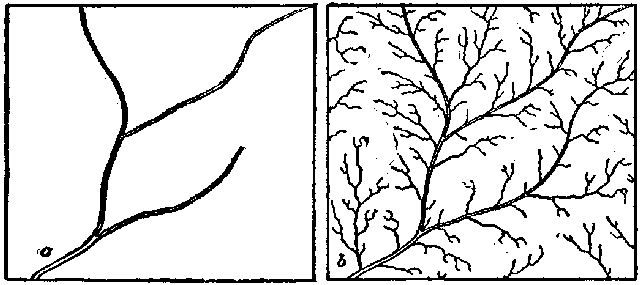 Fig. 10.—Showing the diverse action of rain on wooded
and cleared fields, a, wooded area; b, tilled ground.