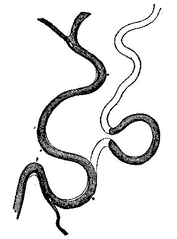 Fig. 11.—Oxbows and cut-off. Showing the changes in
the course of a river in its alluvial plain.
