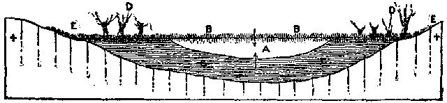 Fig. 18.—Diagram showing development of swamp: A,
remains of lake; B, surface growth; c, peat.