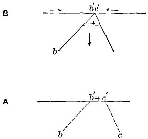 Fig. 21.—Diagram showing how a portion of the earth's
surface may be sunk by faulting. Fig. A shows the original position;
B, the position after faulting; b b' and c c' the planes of the
faults; the arrows the direction of the movement.