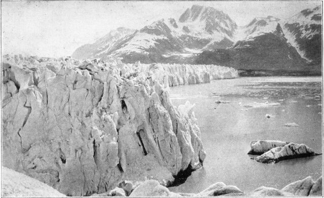 Front of Muir Glacier, showing ice entering the sea;
also small icebergs.