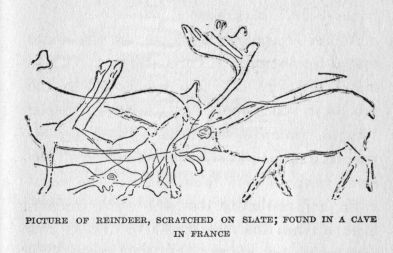 Picture of reindeer, scratched on slate; found in a cave in France