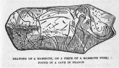 Drawing of a mammoth, on a piece of mammoth tusk; found in a cave in France