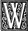 &quot;W