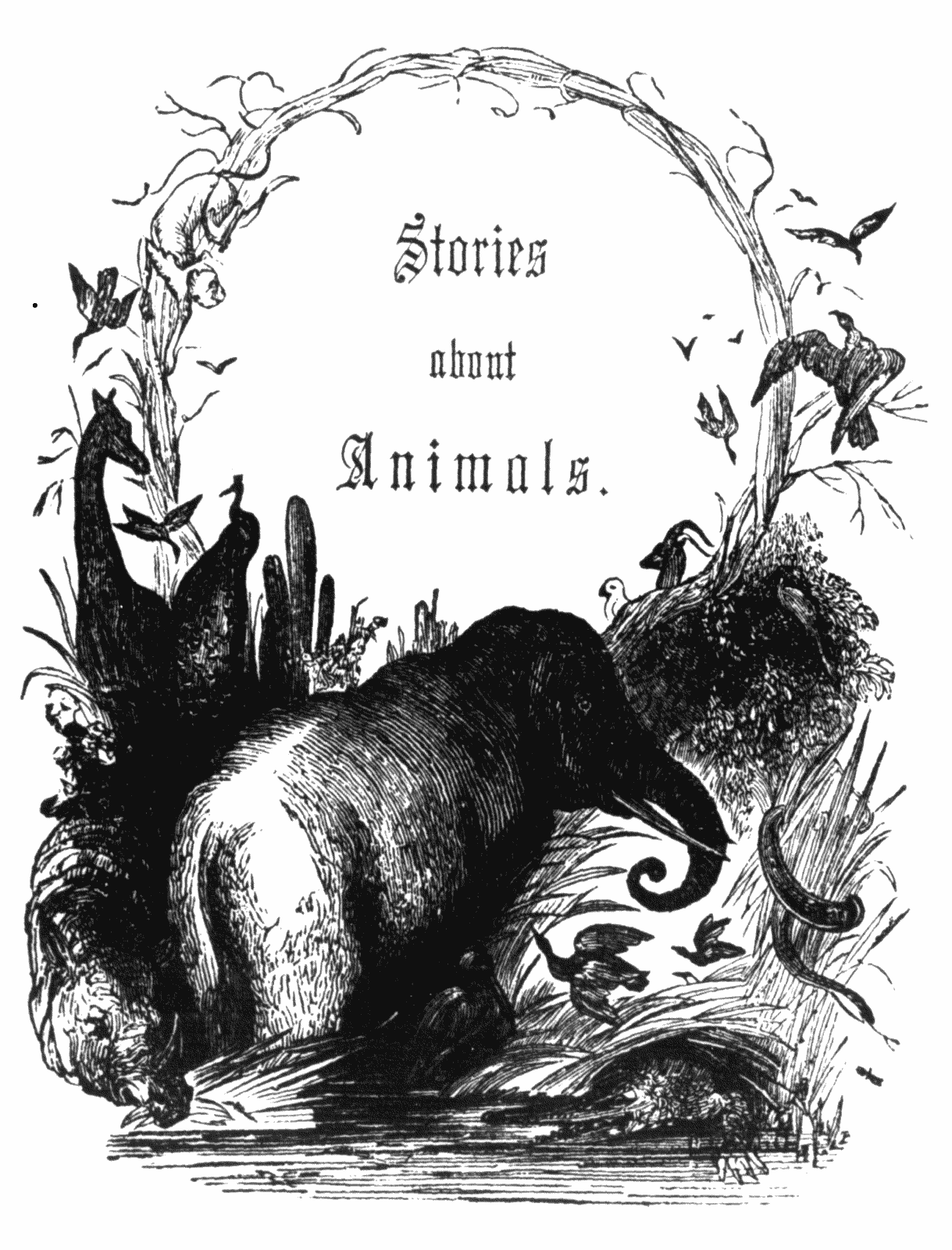 The Project Gutenberg eBook of Stories about Animals: with Pictures to  Match, by Francis C. Woodworth