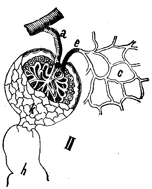 Fig. 89