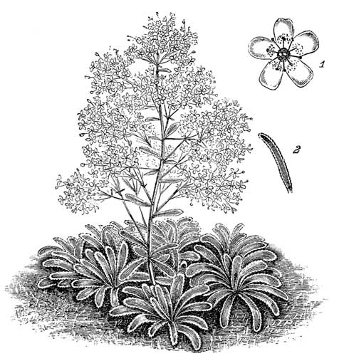 Fig. 92.