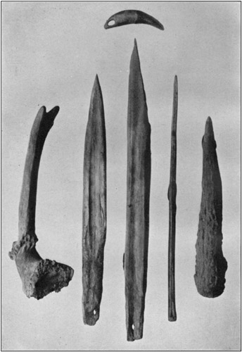 Plate 11: Bone and Antler Implements from Goat Bluff Cave