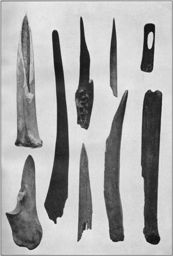 Plate 12: Bone and Antler Implements from Goat Bluff Cave