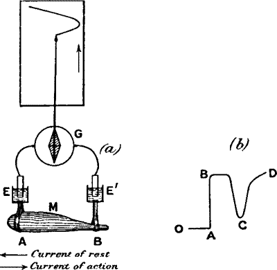 Fig. 4.—Electric Recorder