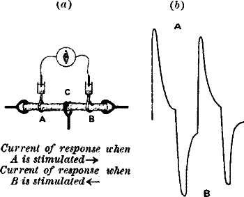 Fig. 14.—The Method of Block
