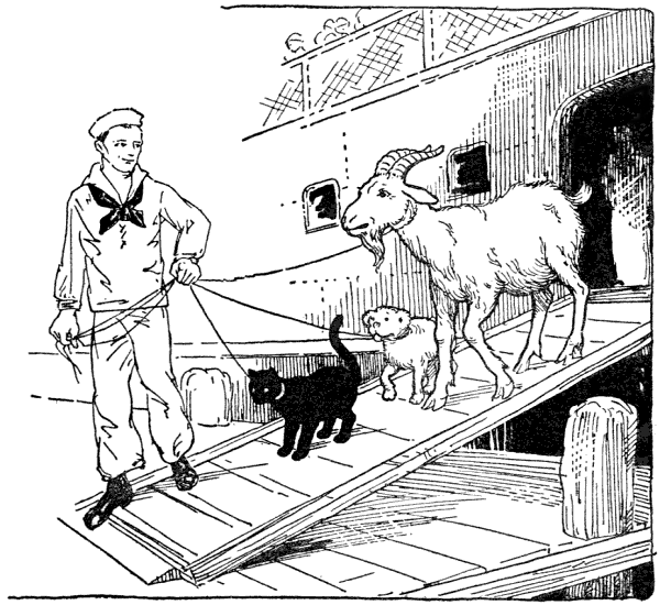 Taking the goat, dog and cat ashore