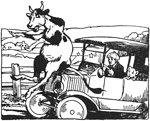 He ran his car right into a cow in such a way that she sat on the bumper of the machine