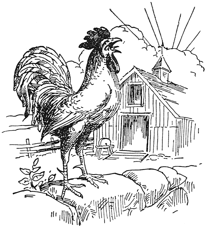 Just then a rooster flew up on the wagon to crow that it was daylight...