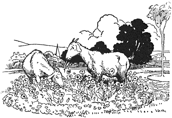 People driving along the parkway thought it strange that the Park commissioners would allow goats to run loose through the flower beds and pull the sweet peas off their trellises.