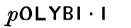 pOLYBII