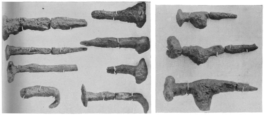 Fig. 19. Nails from the Chester Graves. (p. 42)