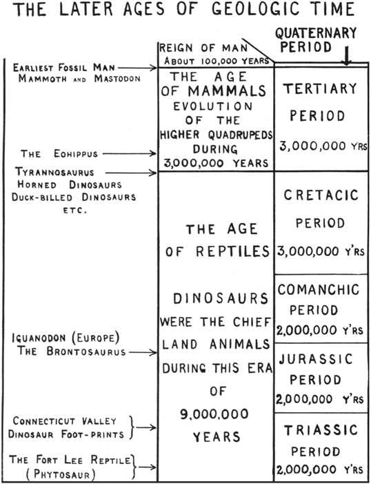 Fig. 1. The Later Ages of Geologic Time.