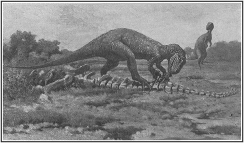 Fig. 12.: Restoration of Allosaurus by C.R. Knight.