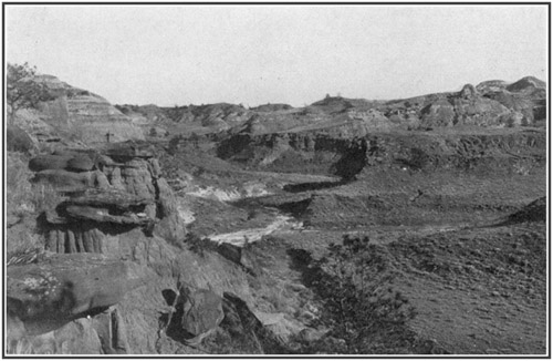Fig. 13.: View in the Hell Creek badlands in central
Montana, where the Tyrannosaurus skeleton was found.