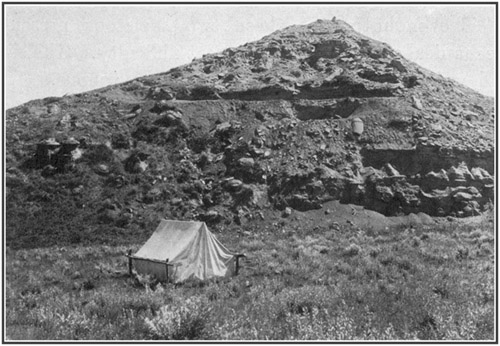 Fig. 14.: Quarry from which the Tyrannosaurus
skeleton was taken. American Museum camp in foreground.
