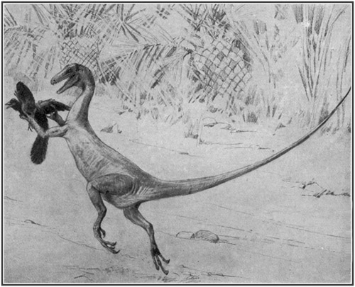 Fig. 18.: Restoration of Ornitholestes.